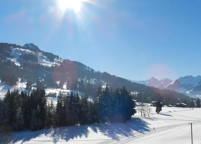 Media By Interhome * Saanenmoser